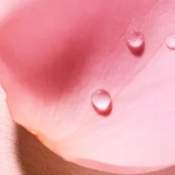 Very Rose Eau voluptueuse parfumante Nuxe - spray de 100ml