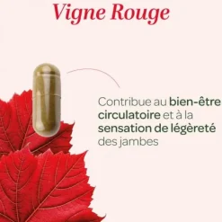 Vigne rouge circulation bio Super Diet - boite de 90 gélules