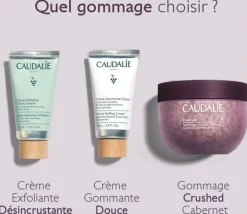 Vinosculpt gommage Crushed Cabernet Caudalie - pot de 250g