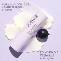 Vinotherapist Soin des lèvres Caudalie