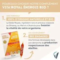Vita'Royal gelée royale énergie Vitavea - boite de 10 ampoules