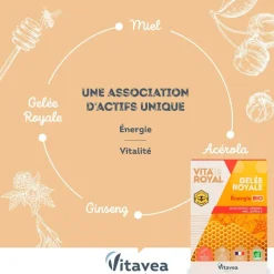 Vita'Royal gelée royale énergie Vitavea - boite de 10 ampoules