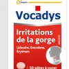 Vocadys pâte à sucer - boîte 30 pâtes