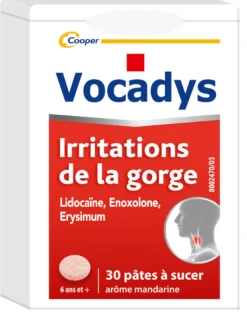 Vocadys pâte à sucer - boîte 30 pâtes