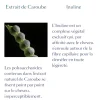 Volumea Rituel volume baume démêlant expanseur René Furterer - tube de 150 ml