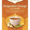 Yogi Tea Gingembre orange vanille BIO - boite de 17 sachets